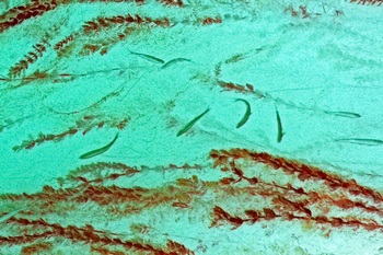 N 059B